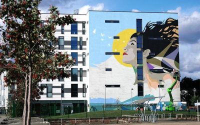 Wild Walls Festival 2024