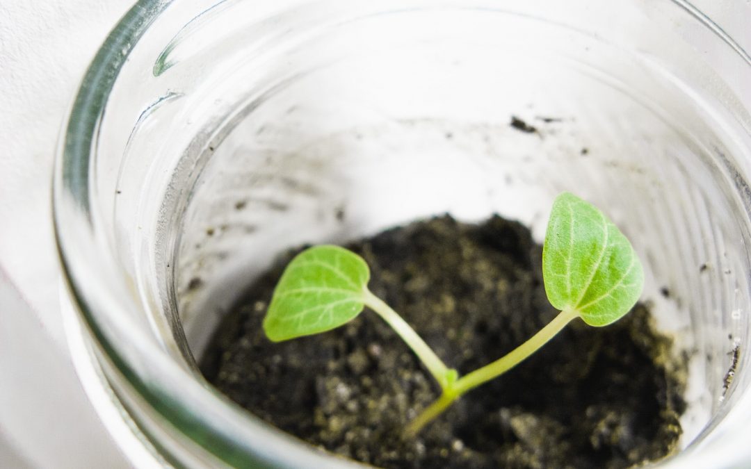 Navigating Corporate Social Responsibility: A Blueprint for Ethical Business Impact