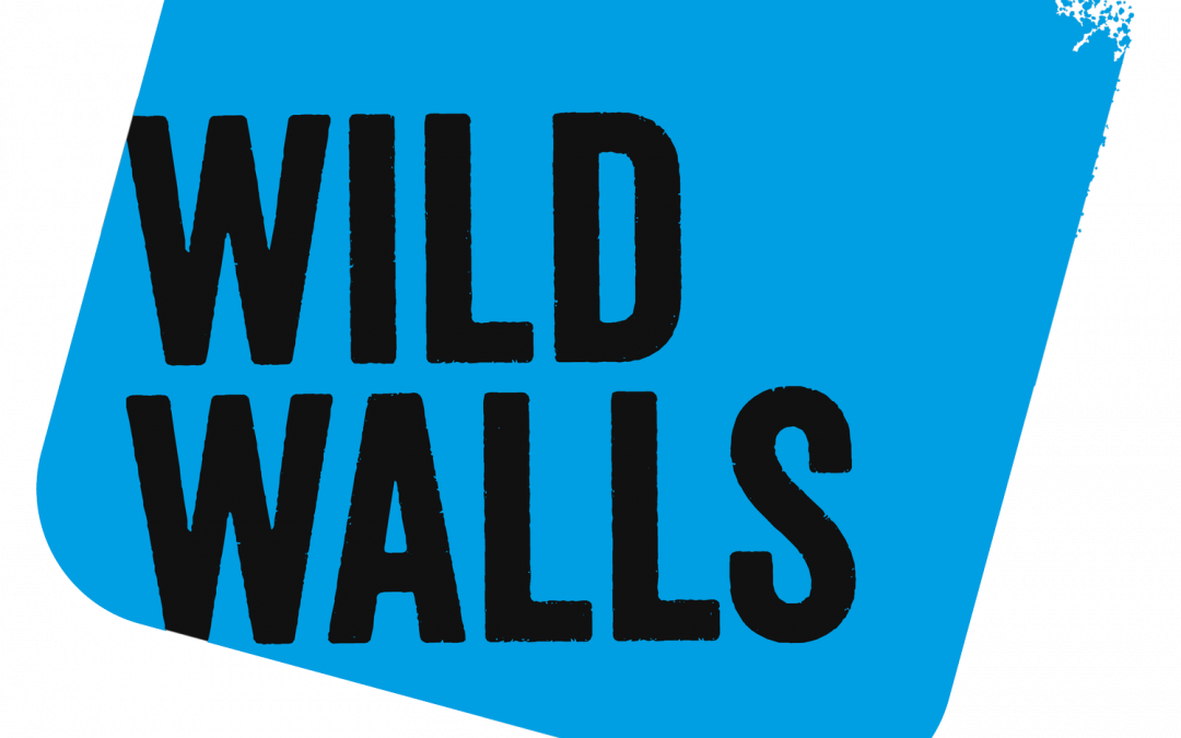 ‘Wild Walls’ urban art programme in Ipswich calls for people under 30 to get involved this summer
